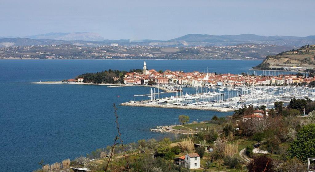 Apartma Soncek Izola Exterior photo